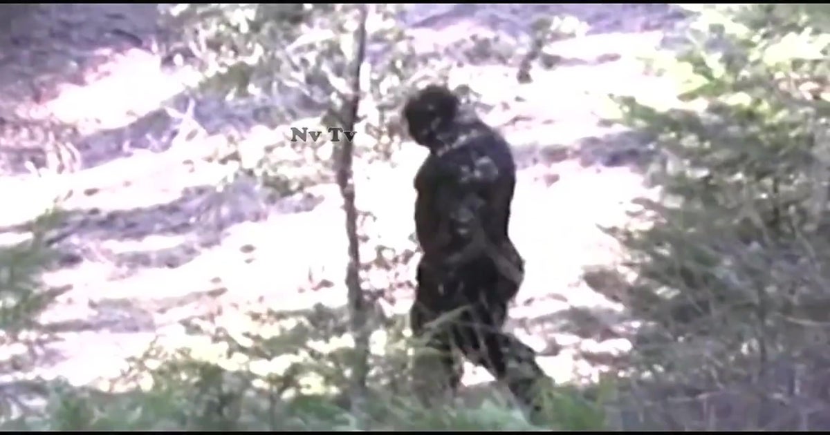 Dramatic footage claims to show new sighting of Bigfoot – so do the experts think it’s real?