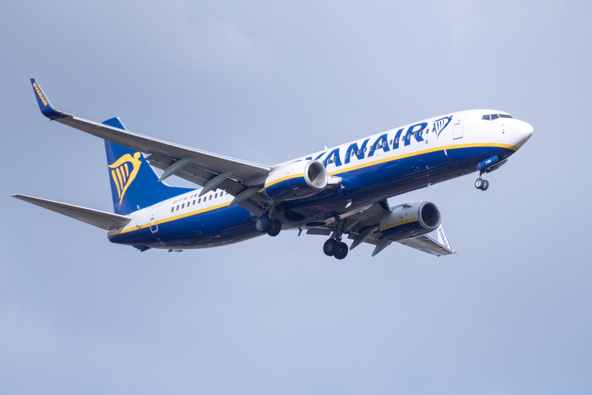 Woman avoids jail for being drunk on plane because Ryanair ‘crew kept serving her’