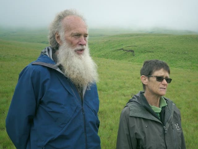 <p>Rodney and Rachel Saunders ran Silverhill Seeds in Cape Town</p>