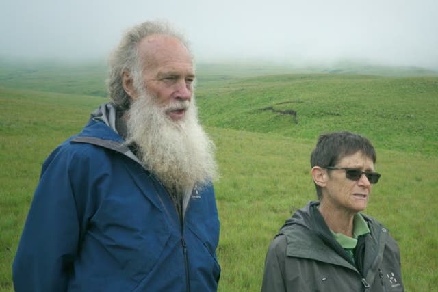 <p>Rodney and Rachel Saunders ran Silverhill Seeds in Cape Town</p>