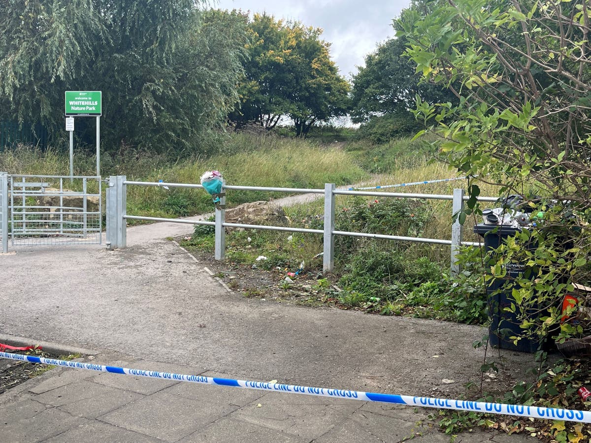 Boy, 14, arrested on suspicion of murder after teenager dies in