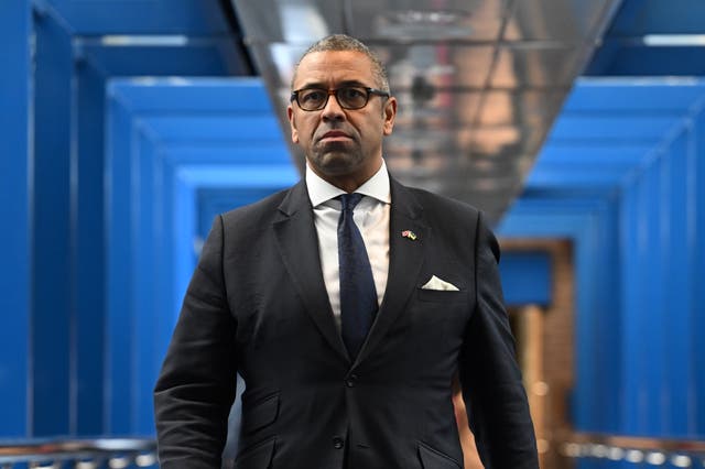 <p>James Cleverly at the conference in Birmingham today</p>