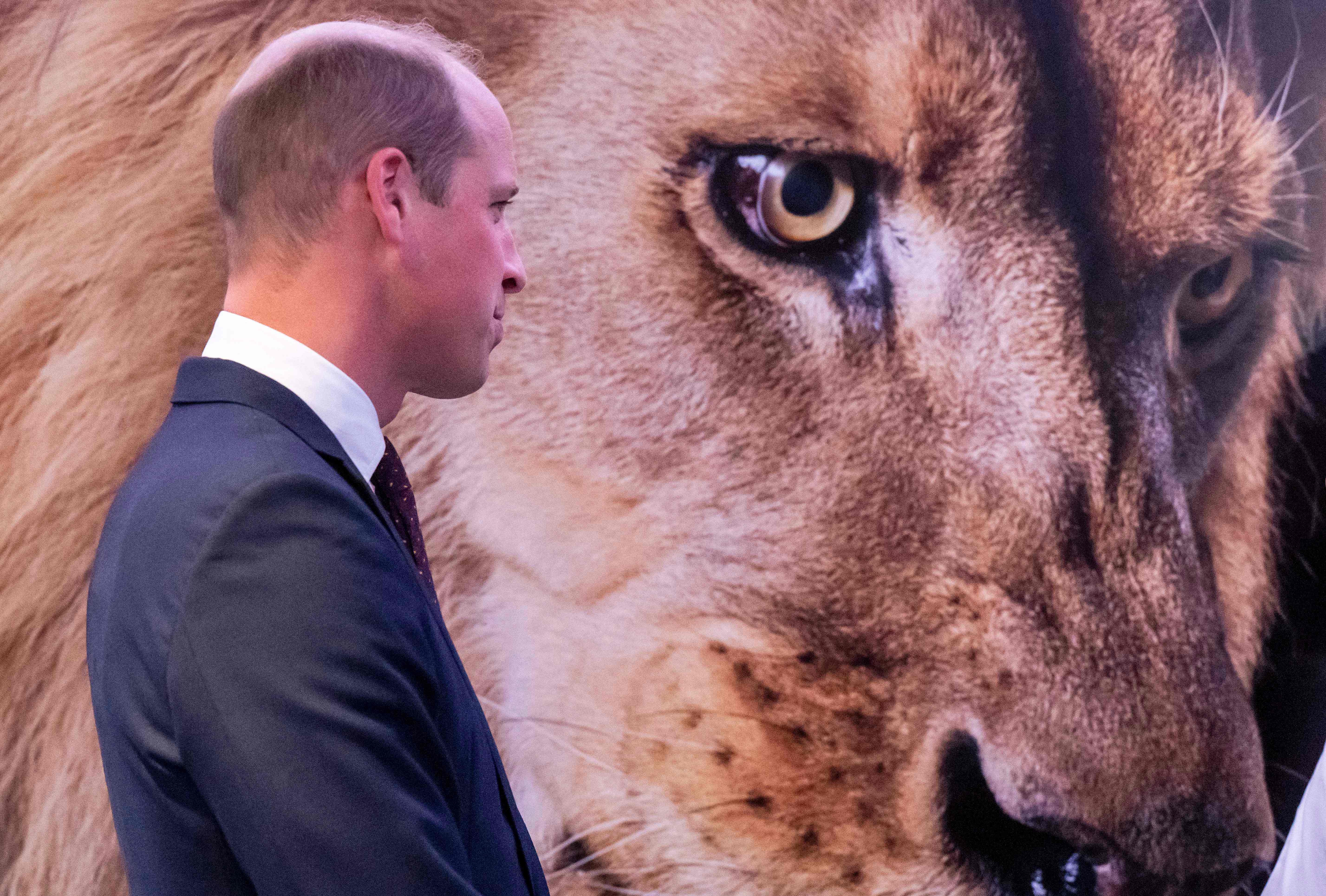 Prince William paid tribute to a slain park ranger