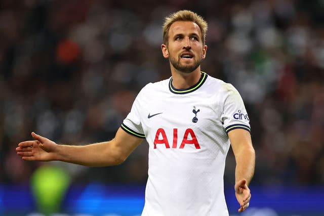 <p>Harry Kane was heavily linked with a move to Manchester City last summer </p>