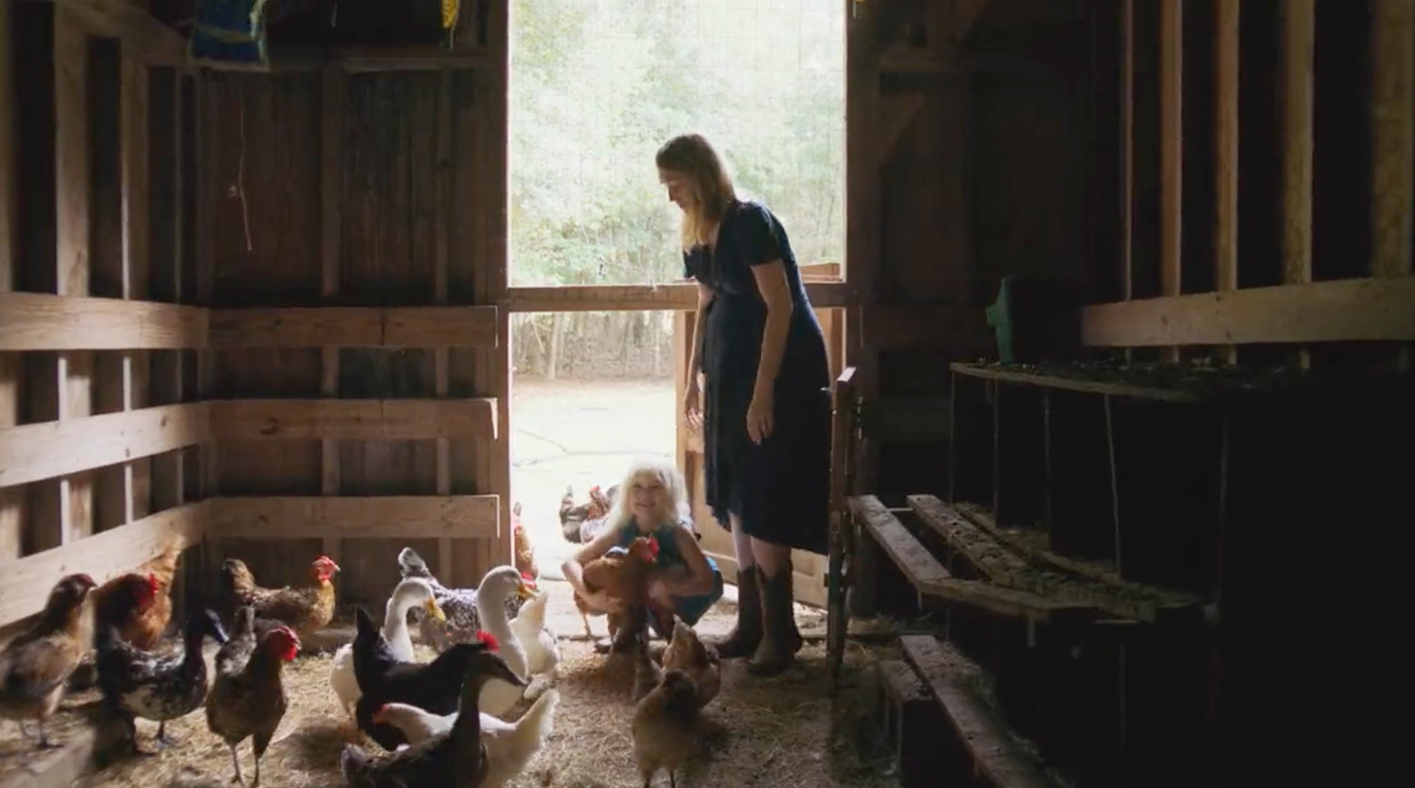 Election 2022 Louisiana House