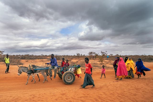 Somalia The Unseen Famine