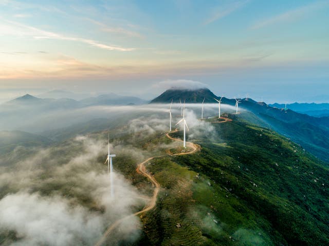<p>Wind turbines generated 8 per cent of all the world’s energy during the first half of 2022</p>