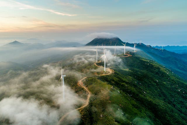 <p>Wind turbines generated 8 per cent of all the world’s energy during the first half of 2022</p>