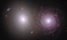 Nasa’s Webb and Hubble telescope team up to create astonishing image of a pair of galaxies