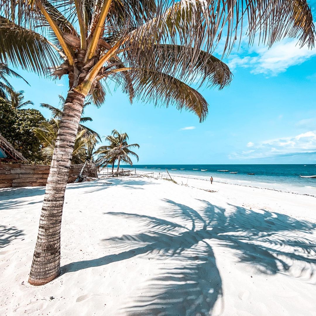 Diani Beach is a welcoming tropical paradise, perfect for some post-safari relaxation