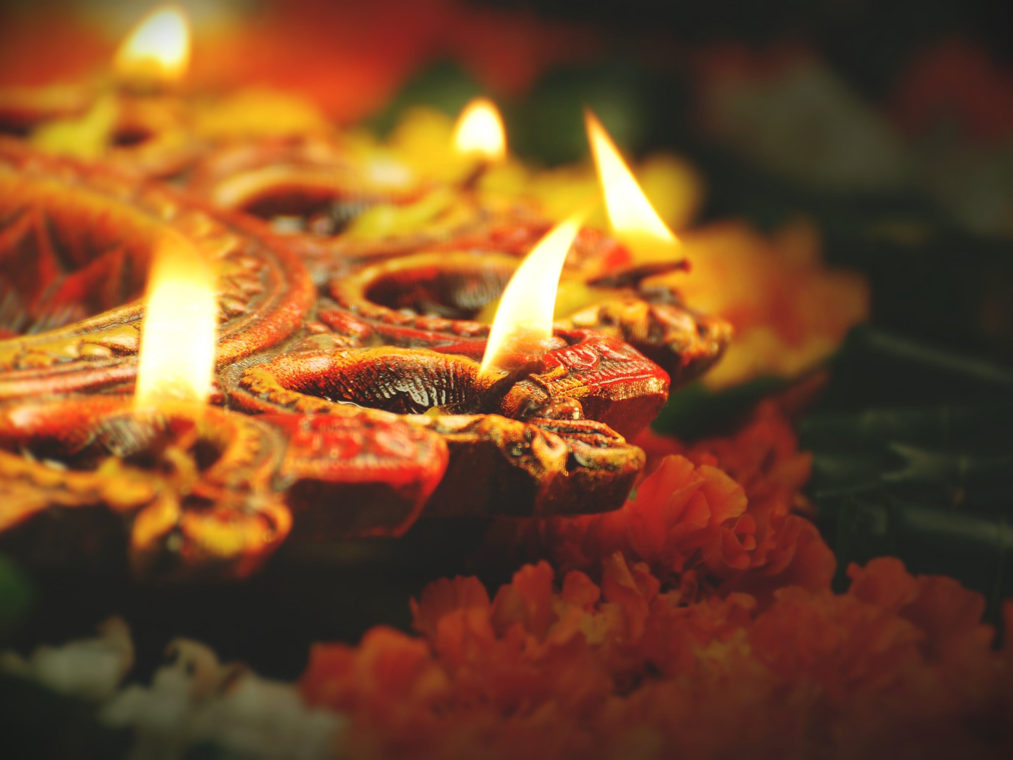 Diwali is also know as the Festival of Lights