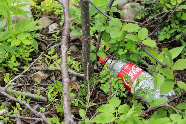 <p>Coca-Cola has been named the world’s number one plastic polluter</p>