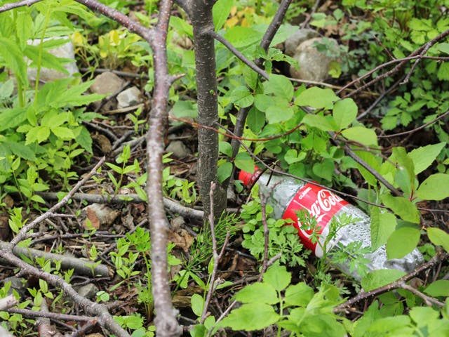 <p>Coca-Cola has been named the world’s number one plastic polluter</p>