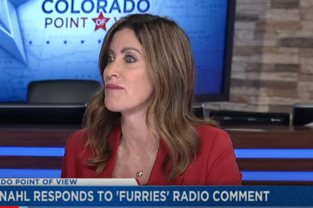 <p>Heidi Ganahl, a Republican gubernatorial candidate in the Colorado race, claims that she’s received over 100 messages from concerned parents in the state about students being allegedly allowed to identify as ‘furries’</p>