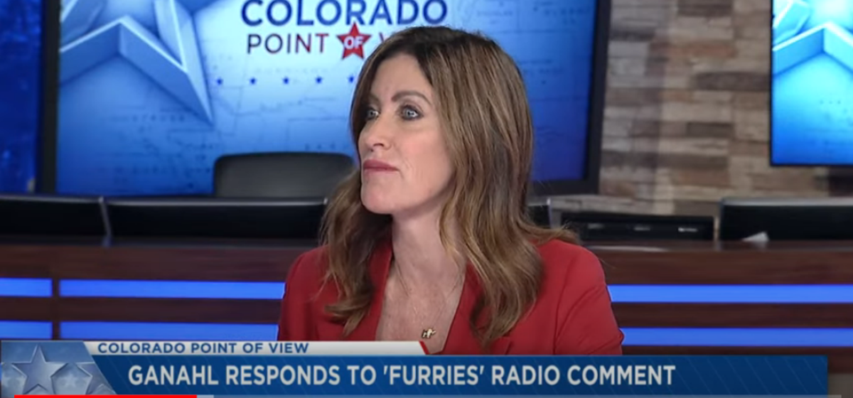 Heidi Ganahl: Colorado okulları GOP adayına öğrencilerin kendilerini kedi olarak tanımladıklarını söylemeyi bırakmasını söylemek zorunda kaldı
