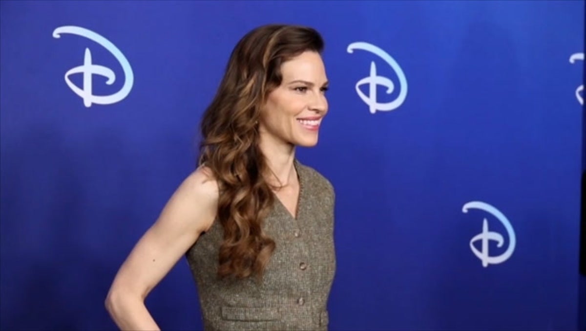 Hilary Swank announces she is pregnant with twins