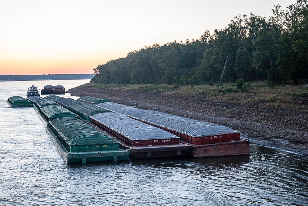 Barges Grounded By Low Water Halt Mississippi River   Mississippi River Low Water 84847 