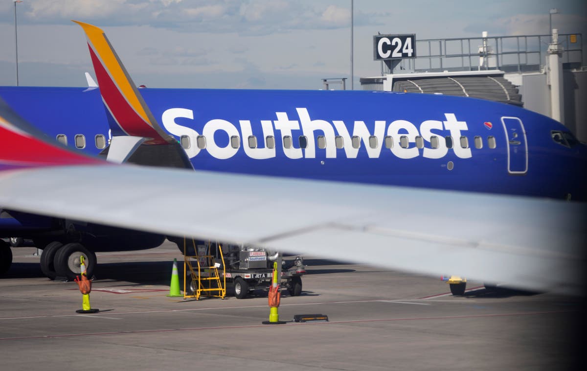 Pilot sues Southwest after colleague exposes himself The Independent