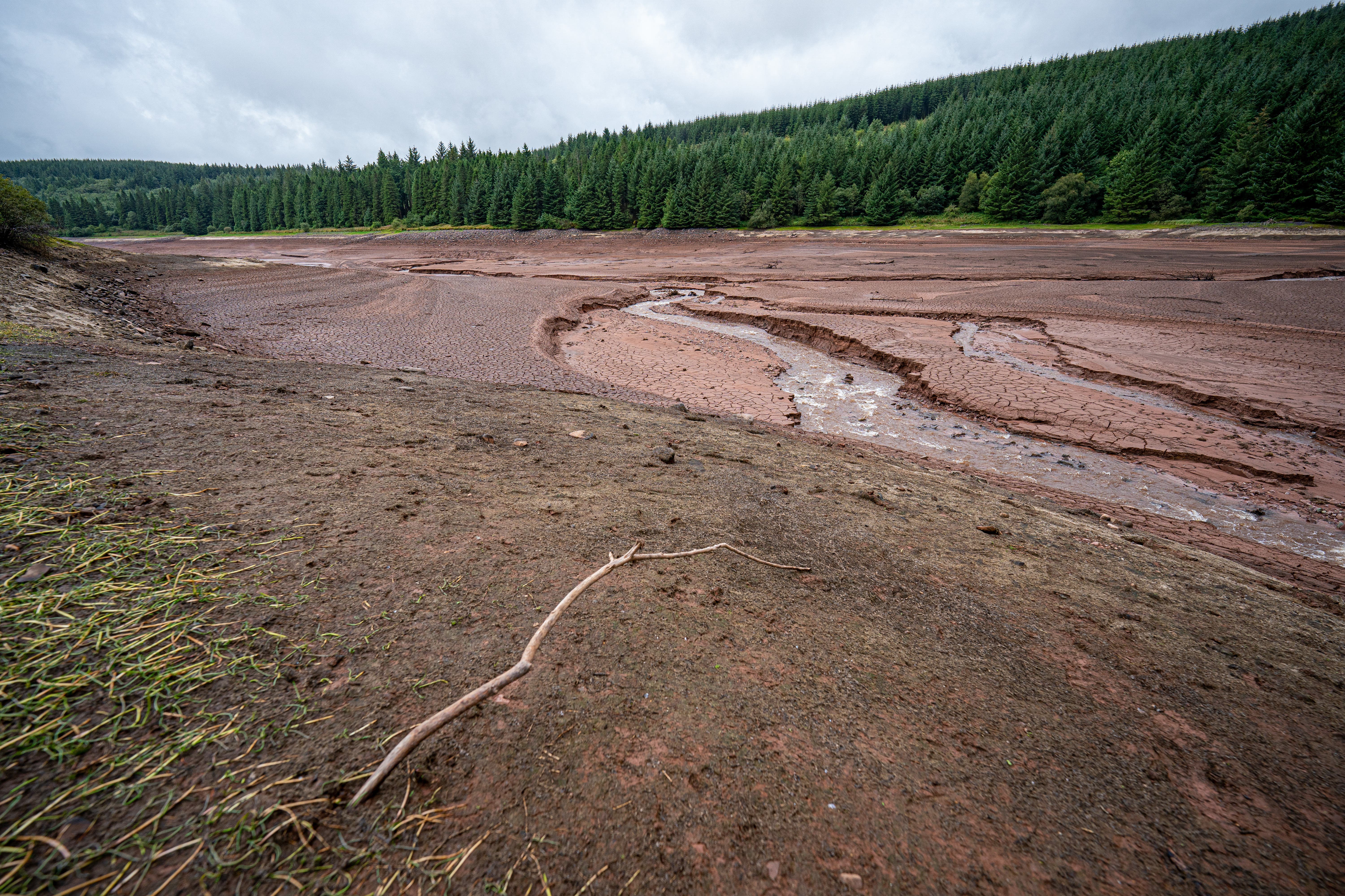 Drought led to widespread shortages and crop failures (Ben Birchall/PA)