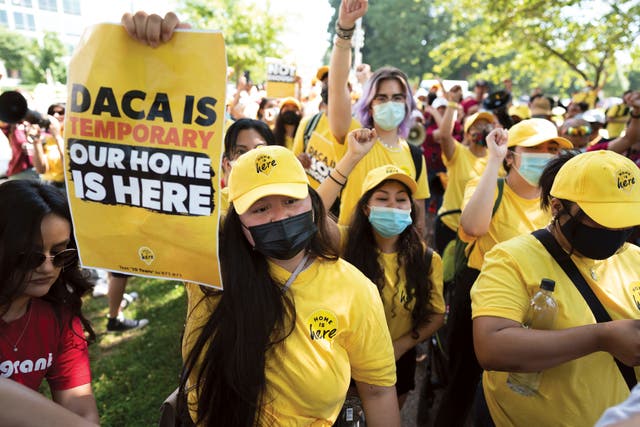 <p>Immigration Deferred Action</p>