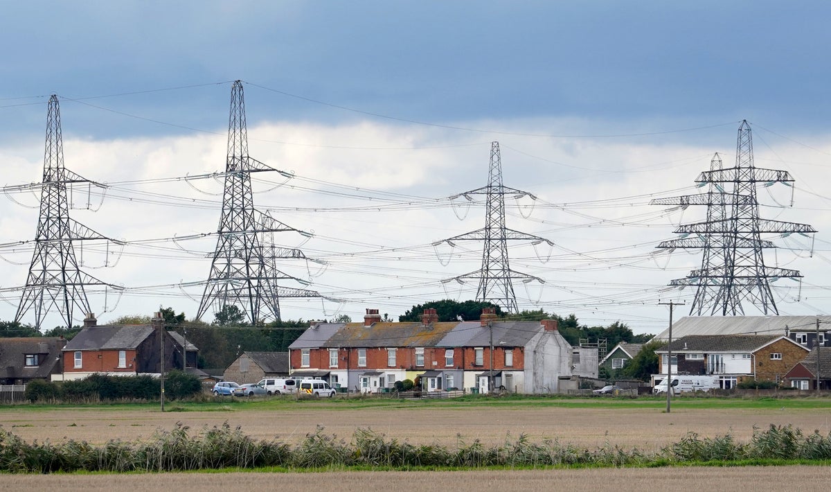 Households to be paid to use electricity at off-peak hours with warning over three-hour blackouts this winter