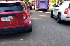 Baby boy and 2-year-old sister mauled to death by pet pit bulls