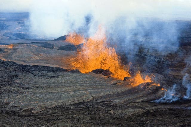 <p>Mauna Loa last erupted on 26 March, 1984</p>