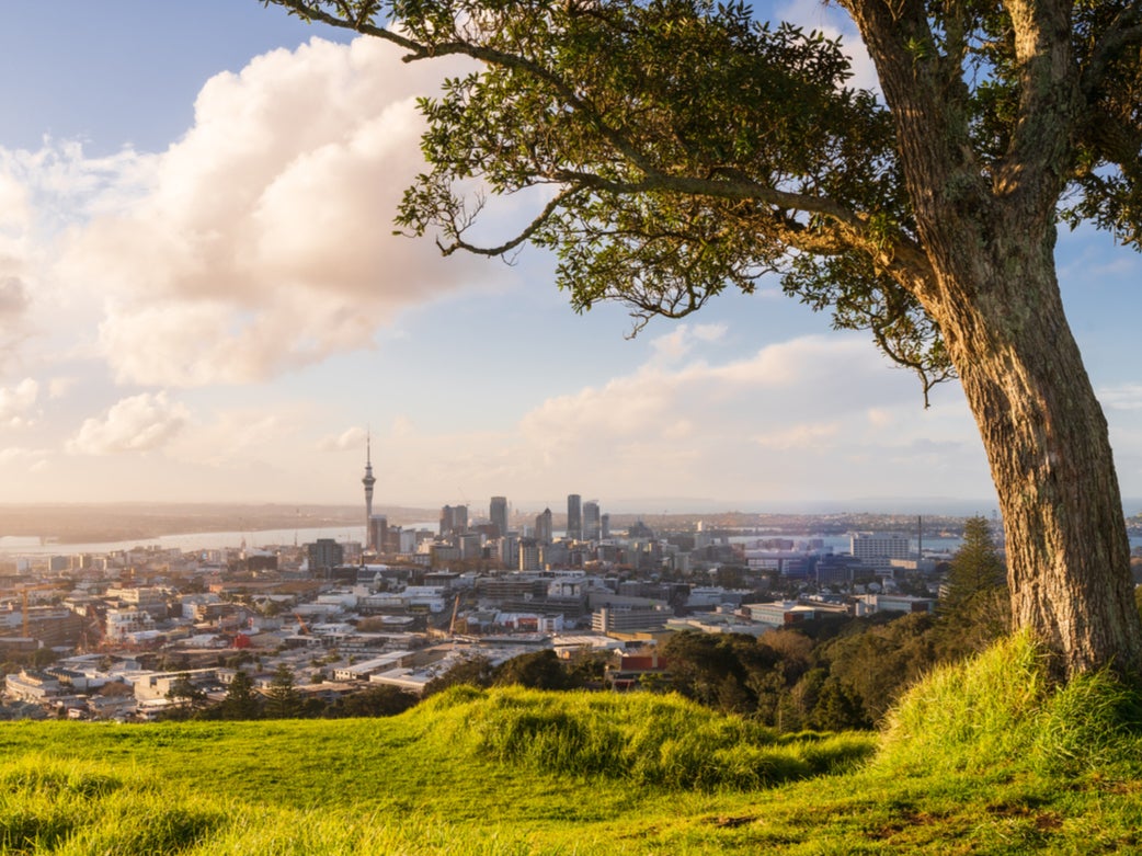 View of Auckland skyline from Mount Eden