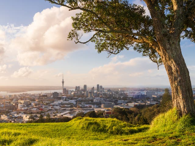 <p>View of Auckland skyline from Mount Eden</p>