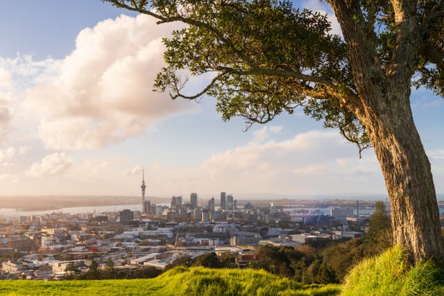 <p>View of Auckland skyline from Mount Eden</p>