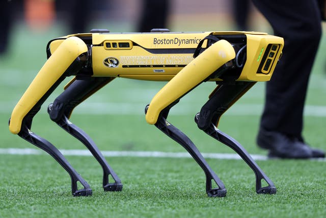 Humanoid robots are here, but they're a little awkward. Do we