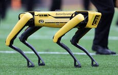 ChatGPT robot dogs can now ‘talk’ thanks to AI