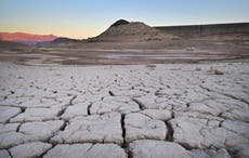 California offers to use less water from Colorado River as drought grips western US