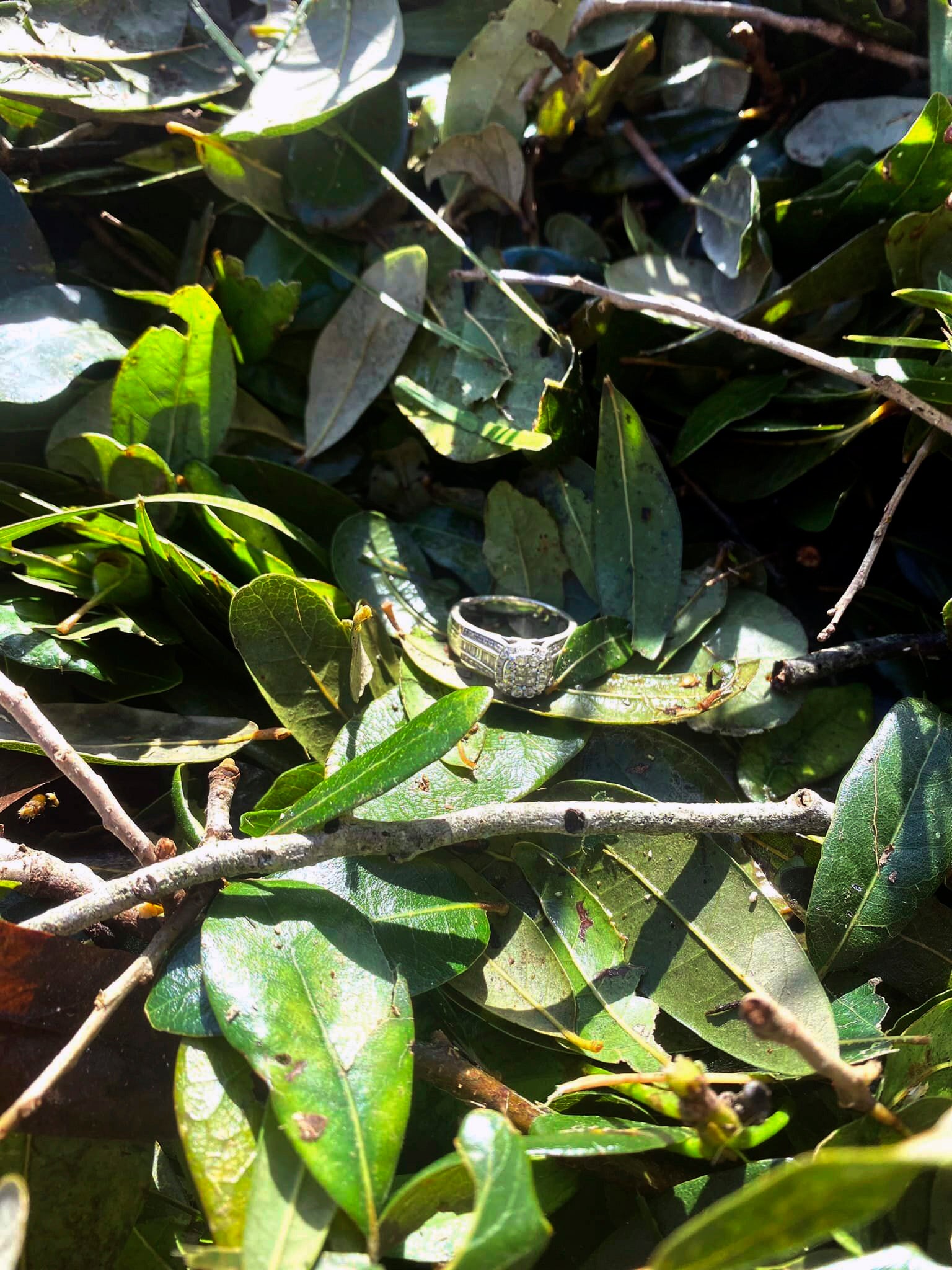 Hurricane Ian Wedding Ring