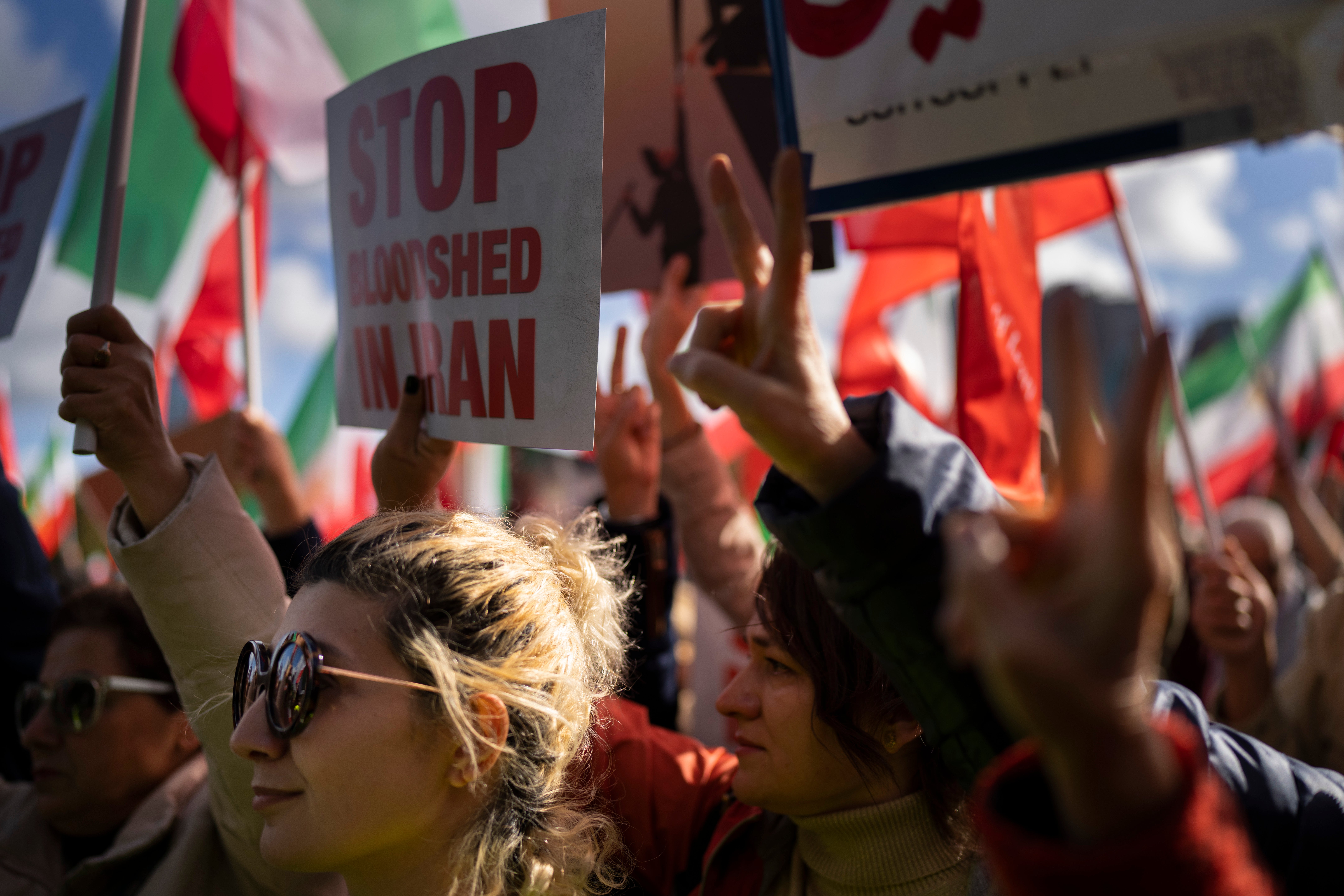 Netherlands Iran Protests