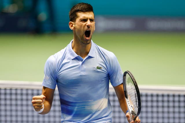 Novak Djokovic celebrates winning the second set before Daniil Medvedev retired (Stas Filippov/AP)