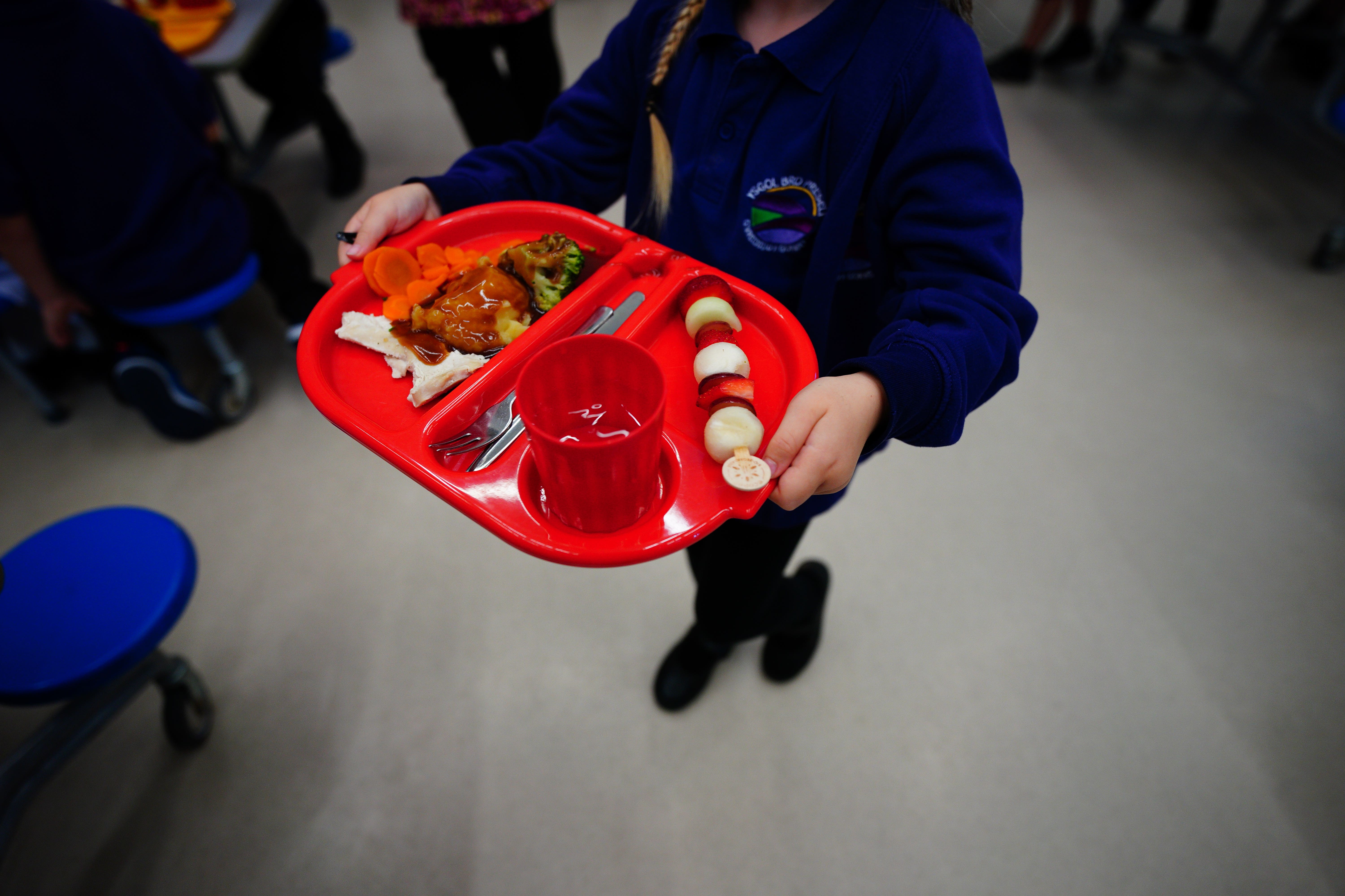 School caterers have to meet mandatory food standards set by the government