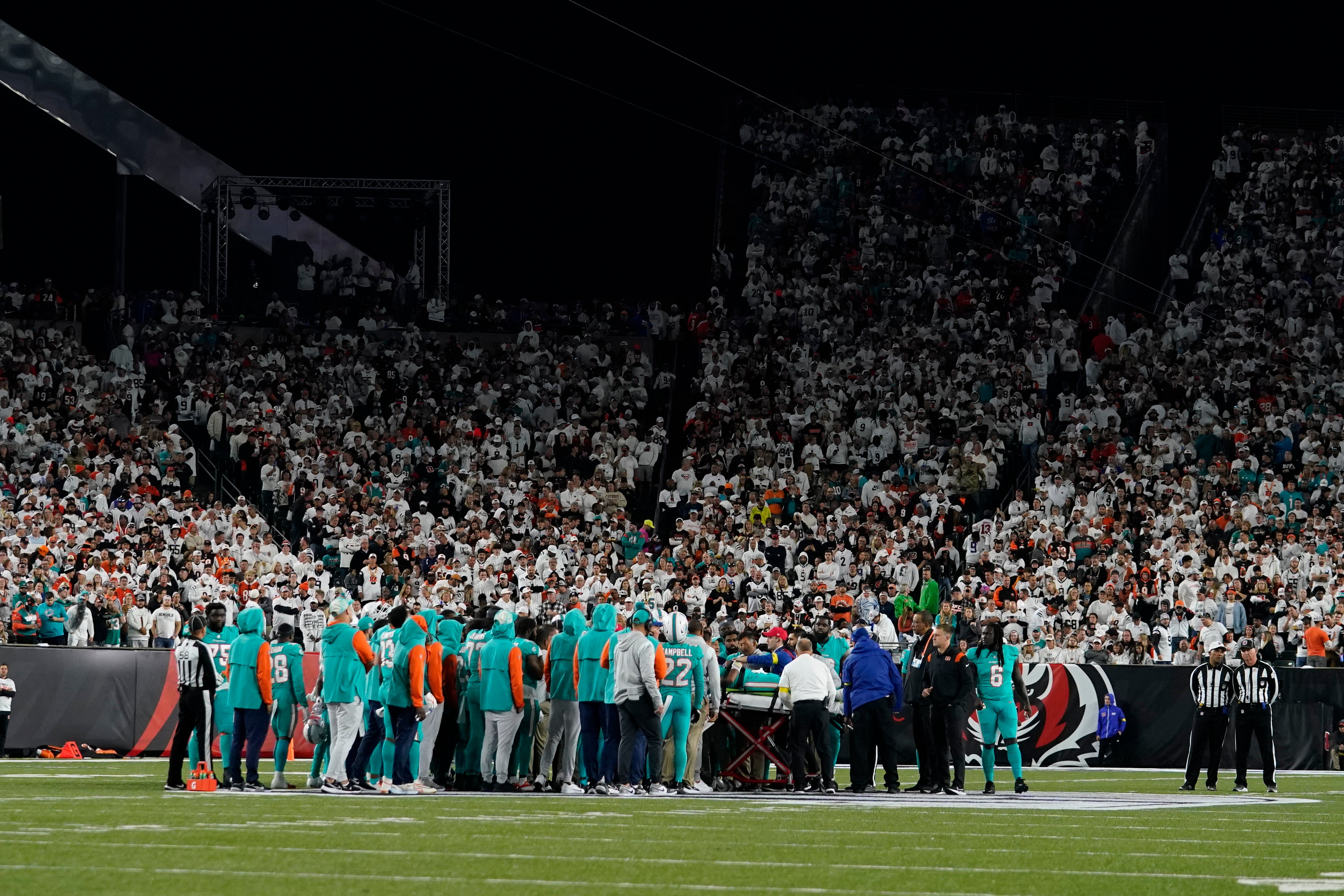 Dolphins Bengals Football