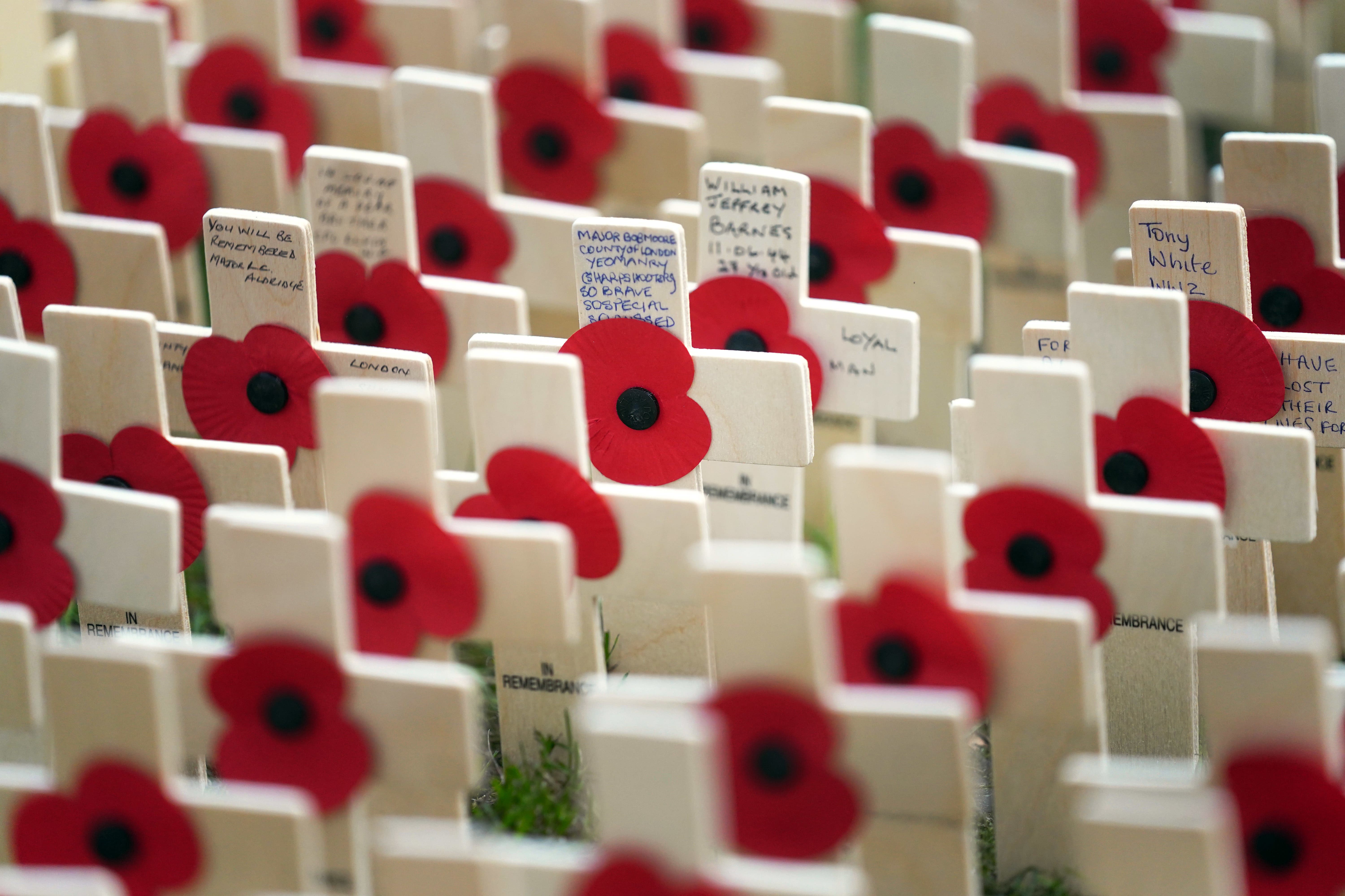 Rows of poppies on crosses are laid out in the Field of Remembrance outside Westminster Abbey in central London (Victoria Jones/PA)