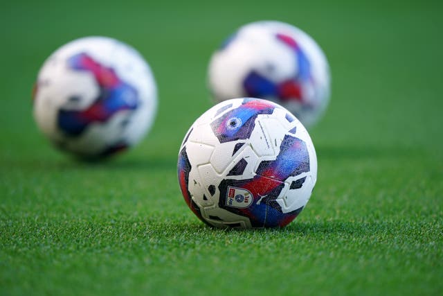 Almost 10 per cent of male Premier League and EFL players surveyed by the PFA said they had experienced bullying during their careers (Joe Giddens/PA)