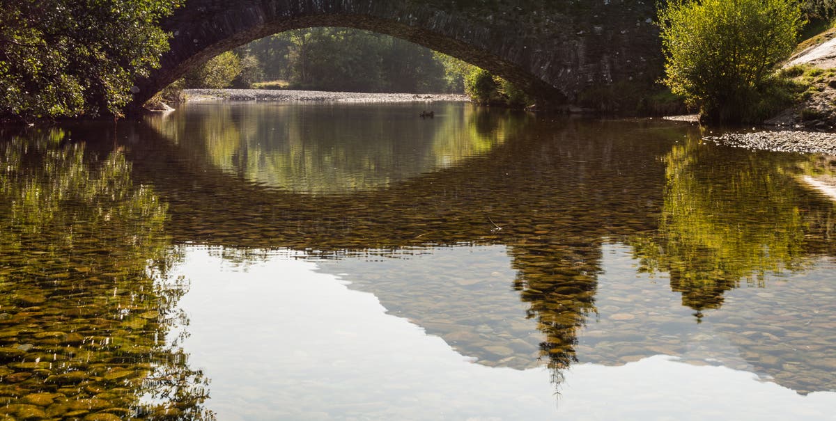 Tracey Wood missing: Body found in river after search for woman not seen for five days