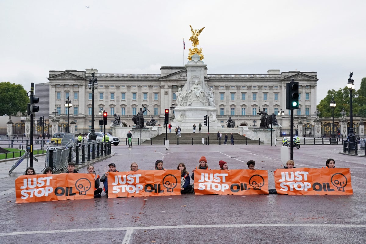 Just Stop Oil protesters blocking road to Buckingham Palace glue themselves to The Mall