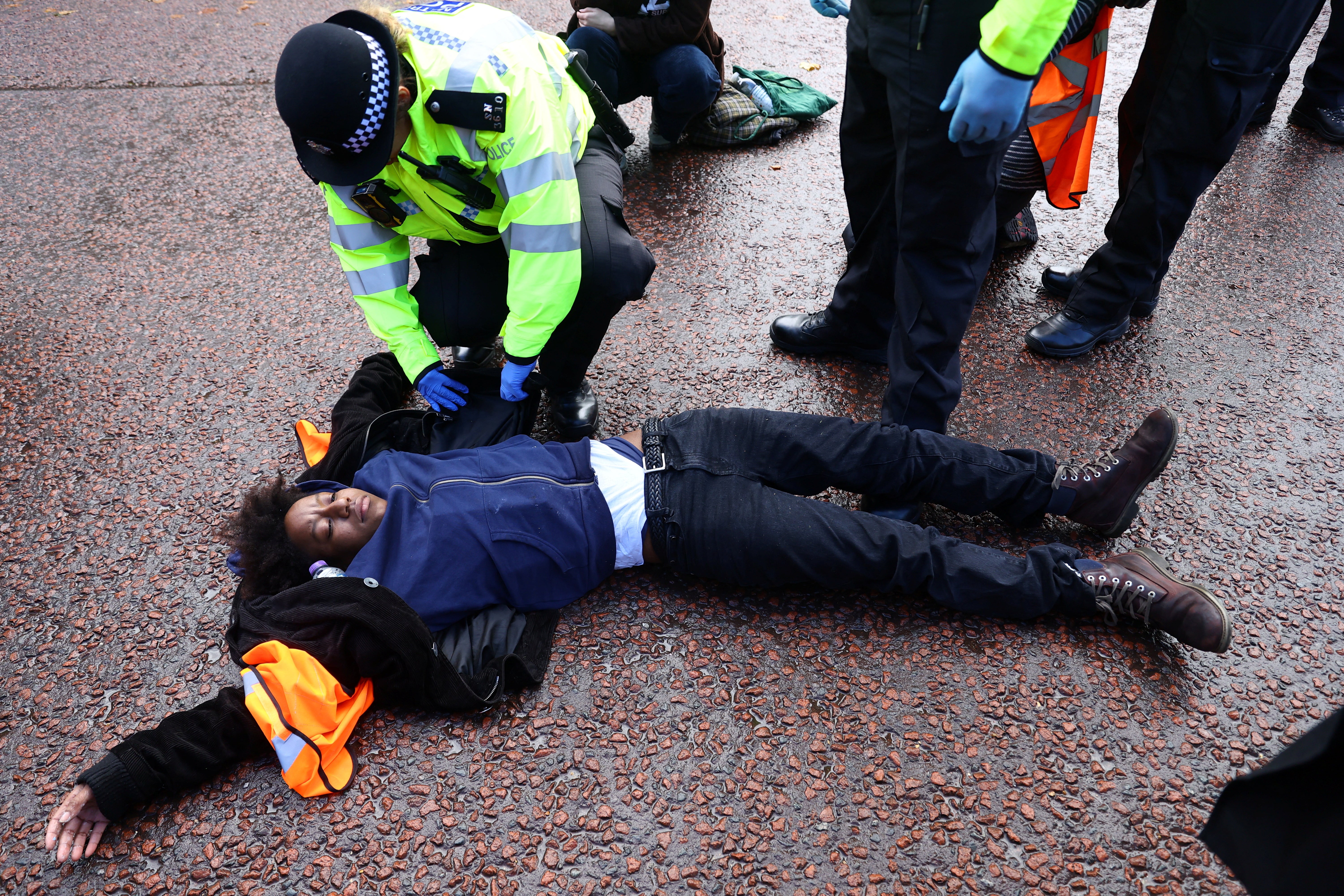 Police officers search and detain a demonstrator during a 'Just Stop Oil' protest outside Buckingham Palace