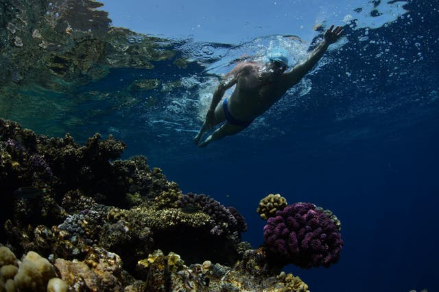 British endurance swimmer Lewis Pugh will swim 100 miles across the Red Sea to highlight the impact of climate change on fragile coral reefs (Steve Benjamin/Lewis Pugh Foundation/PA)