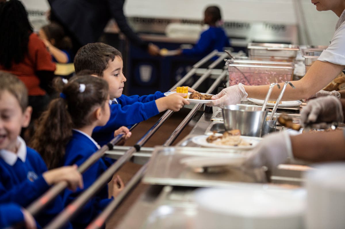 Children face a hunger crisis &ndash; the government needs to act by providing more free school meals