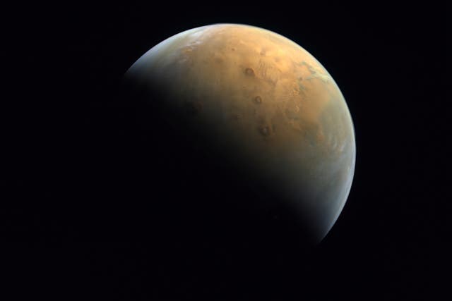 Mars-Ancient Microbes