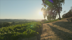 Six of the best sustainable destinations you should visit