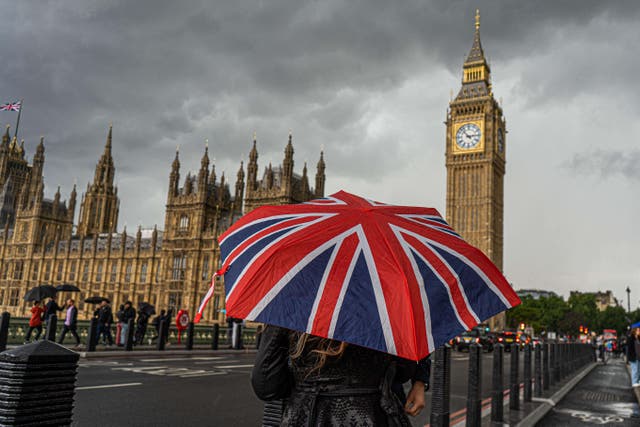 The National Audit Office will look into how the Government’s £120 million project was managed (Stefan Rousseau/PA)