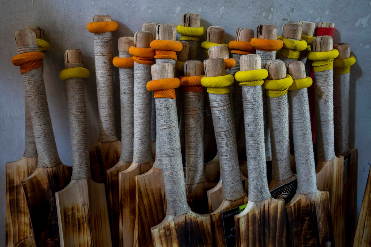 AP PHOTOS: Fewer willows worry Kashmir&rsquo;s cricket bat makers