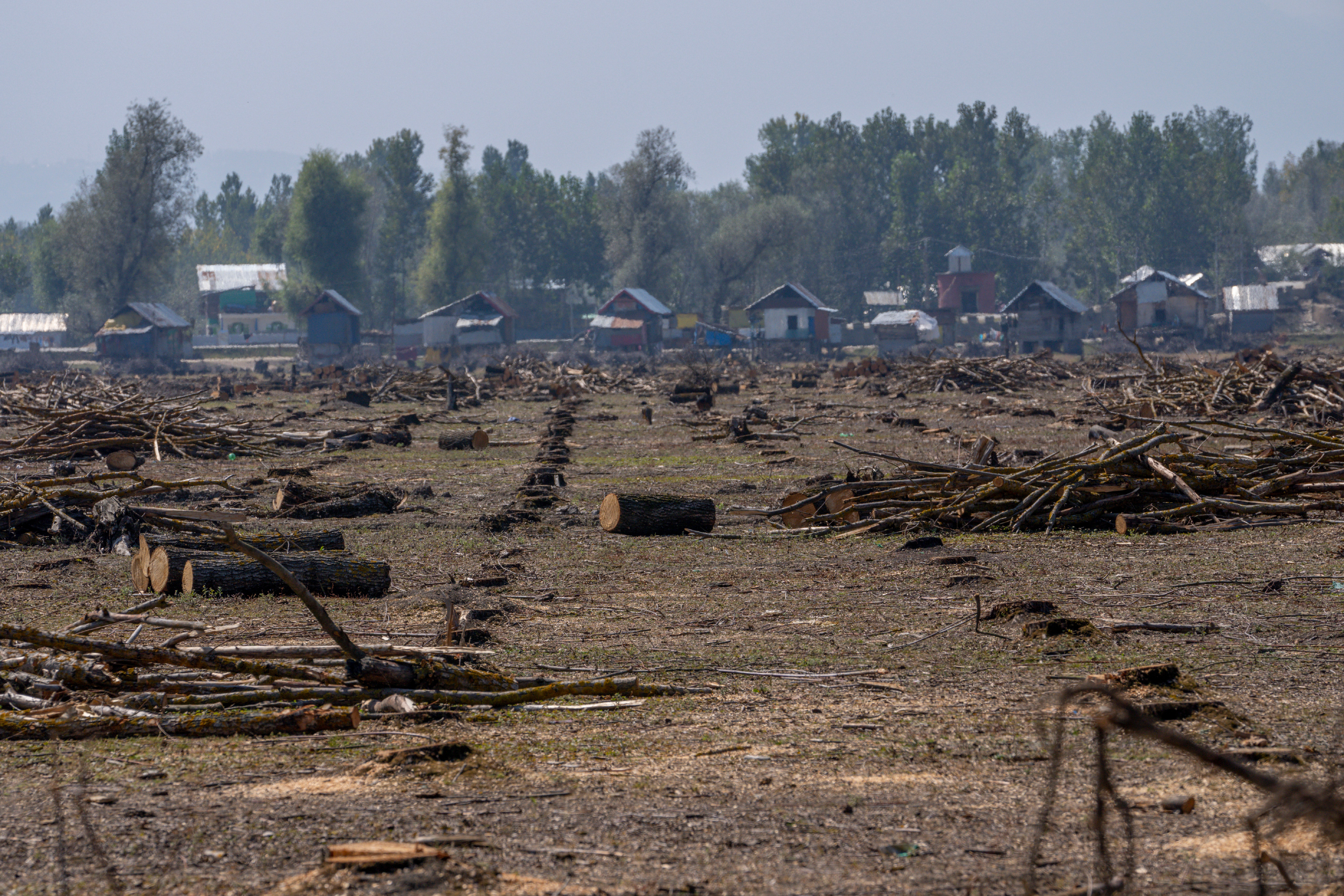 Kashmir Cricket Bats Photo Gallery